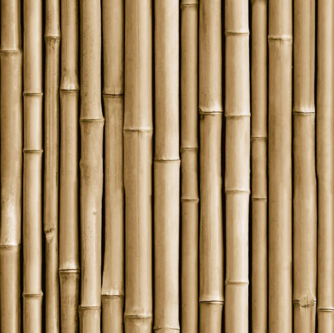 Bamboo poles